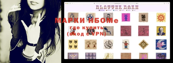 стаф Покачи