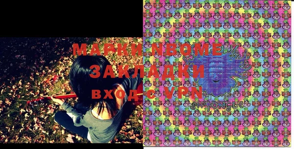 стаф Покачи