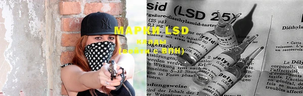 стаф Покачи