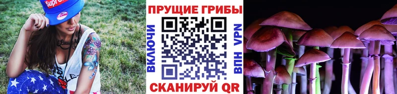 Купить Чапаевск Псилоцибиновые грибы мухоморы